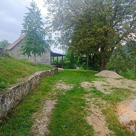 Kamena Kuca- Stone House Scepanovic Bijela Villa Savnik Kültér fotó